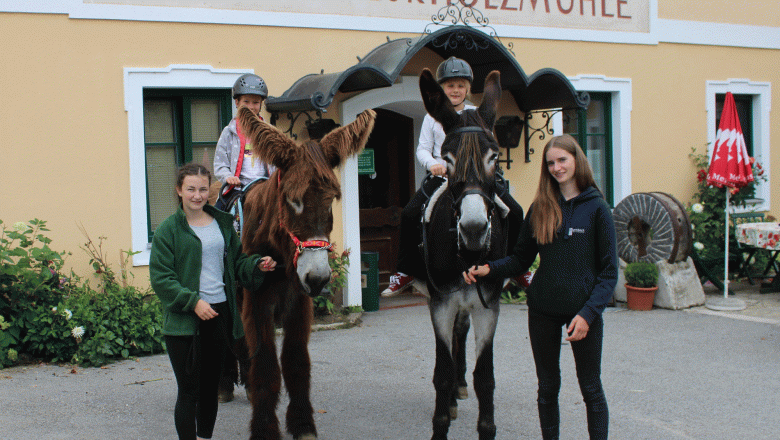 Holzmühle Inn & Pony Farm, © Birgit Taxböck Holzmühle Inn & Pony Farm, © Birgit Taxböck