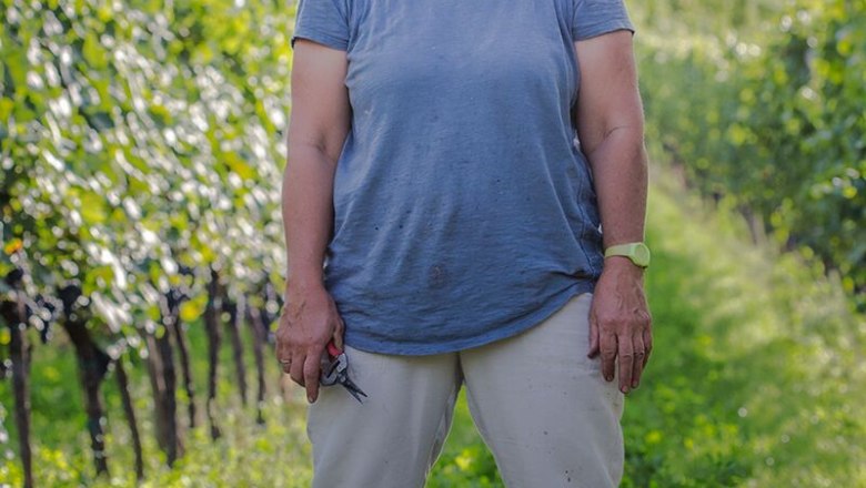 Grete Wiederstein, Weiberwirtschaft Göttlesbrunn, © Familie Wiederstein Grete Wiederstein, Weiberwirtschaft Göttlesbrunn, © Familie Wiederstein