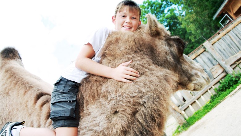 Mindig ilyen nagy a felhajtás , © weinfranz.at Mindig ilyen nagy a felhajtás , © weinfranz.at