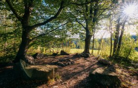 Krumbach stone circle, © Wiener Alpen/Roman Königshofer Photography Krumbach stone circle, © Wiener Alpen/Roman Königshofer Photography
