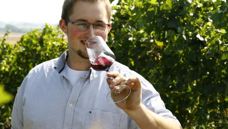 Viticulture Thomas Windholz, Bruck/Leitha, © Weinbau Thomas Windholz Viticulture Thomas Windholz, Bruck/Leitha, © Weinbau Thomas Windholz