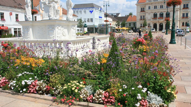 td-hauptplatz-mit-blumen-pestsaeule2-tulln-c-stadtgemeinde-tulln, © TD-Hauptplatz-Pestsäule-c-Stadtgemeinde-Tulln td-hauptplatz-mit-blumen-pestsaeule2-tulln-c-stadtgemeinde-tulln, © TD-Hauptplatz-Pestsäule-c-Stadtgemeinde-Tulln