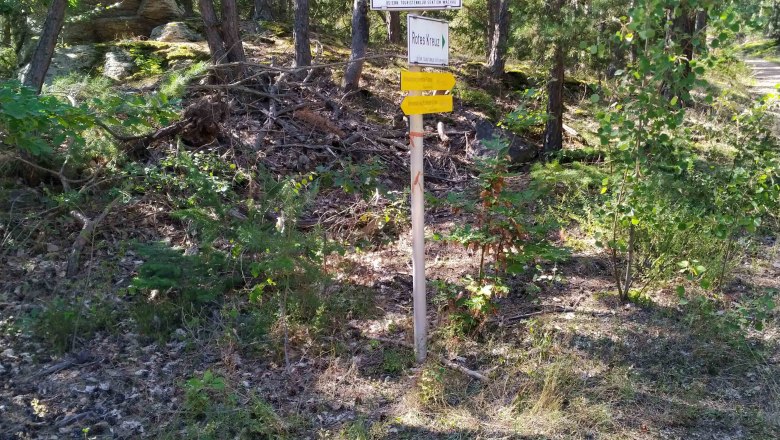 Path to the Schanzriedel, © Donau Nö Tourismus Path to the Schanzriedel, © Donau Nö Tourismus