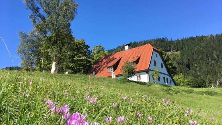 Vacation cottage Hinterbreiteneben, © Johannes Hoyos Vacation cottage Hinterbreiteneben, © Johannes Hoyos