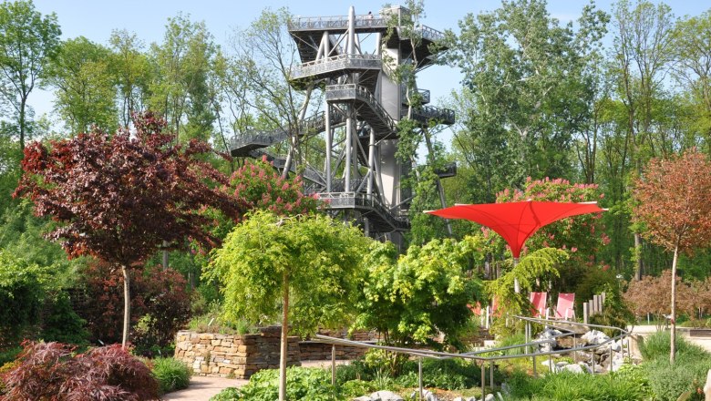 Treetop walk, © DIE GARTEN TULLN Treetop walk, © DIE GARTEN TULLN