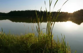 Sky pond near Ottenschlag, © Matthias Schickhofer Sky pond near Ottenschlag, © Matthias Schickhofer
