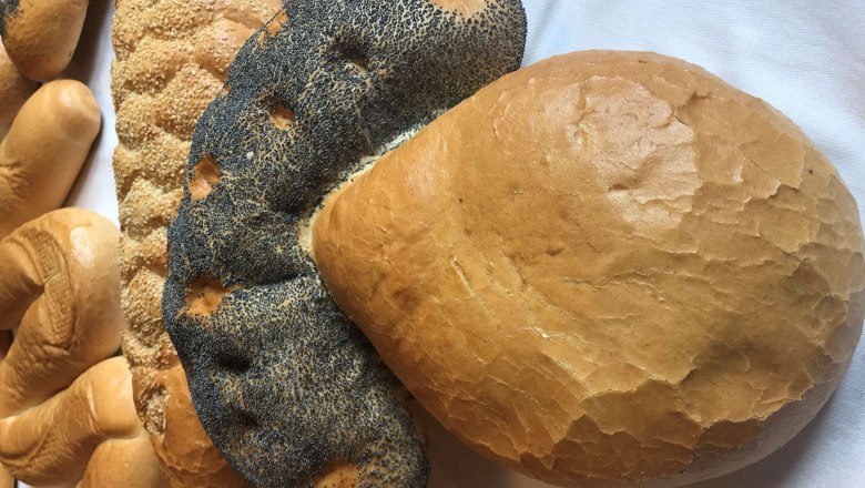 one more thing..., © Karin Tentschert Wienerwald one more thing..., © Karin Tentschert Wienerwald