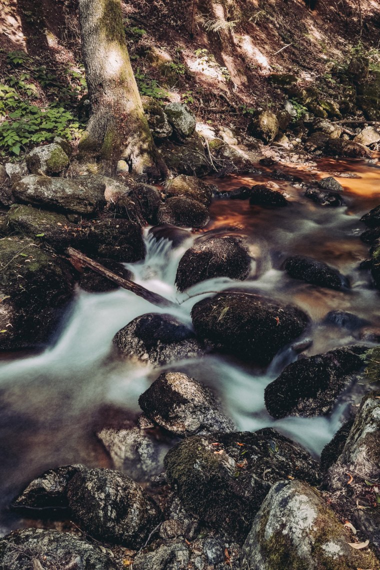 Sikertényező: Ysper., © Niederösterreich Werbung/Michal Petrů Sikertényező: Ysper., © Niederösterreich Werbung/Michal Petrů
