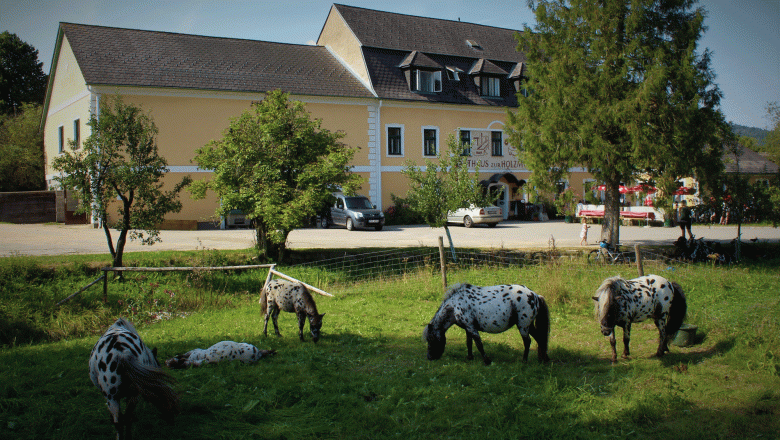 Holzmühle Inn & Pony Farm, © Birgit Taxböck Holzmühle Inn & Pony Farm, © Birgit Taxböck