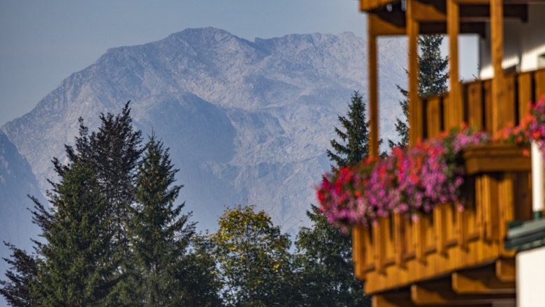 _E6A2508, © Theo Kust _E6A2508, © Theo Kust