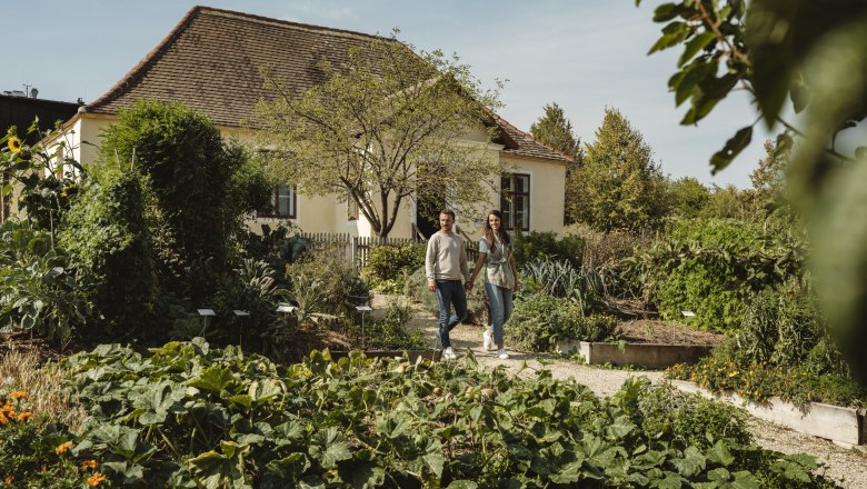 Niedersulz_Weinviertler Museumsdorf(c)WTG_Michael Reidinger (8), © Weinviertel Tourismus / Michael Reidinger Niedersulz_Weinviertler Museumsdorf(c)WTG_Michael Reidinger (8), © Weinviertel Tourismus / Michael Reidinger