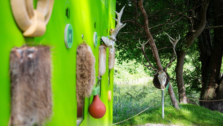 RC_Schloss_Orth_(c)Donau_Niederoesterreich_Barbara_Elser_7, © Barbara Elser RC_Schloss_Orth_(c)Donau_Niederoesterreich_Barbara_Elser_7, © Barbara Elser