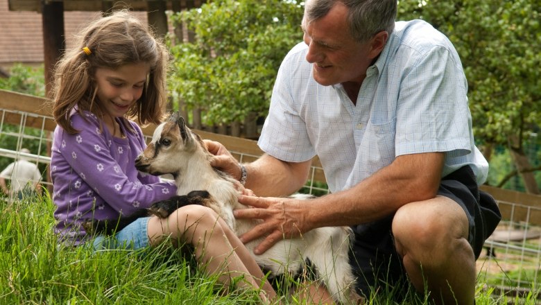 Nem édesek a kicsi gidák?, © Wildpark Hochriess Diestelberger Nem édesek a kicsi gidák?, © Wildpark Hochriess Diestelberger