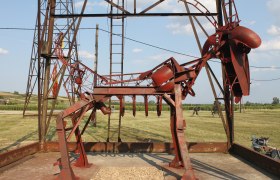 Tierra del Fuego, © Gemeinde Neusiedl an der Zaya Tierra del Fuego, © Gemeinde Neusiedl an der Zaya