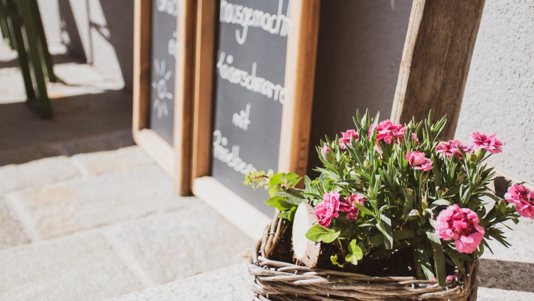 the shelter, © Andrea Leichtfried the shelter, © Andrea Leichtfried