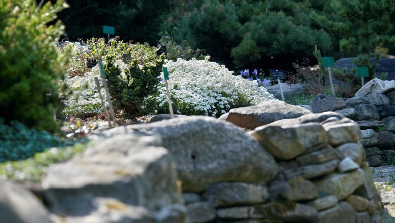 Stone wall in the garden, © Alexander Haiden Stone wall in the garden, © Alexander Haiden