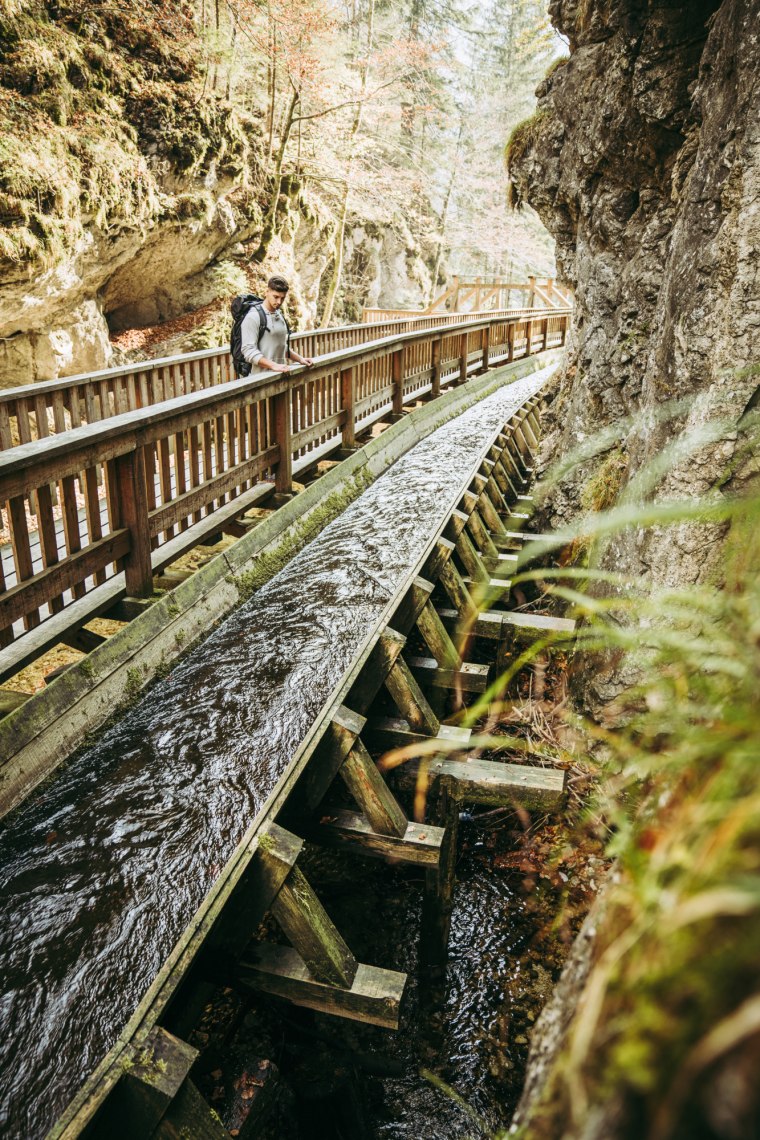 Faszállítás vízi úton., © Max Mauthner Faszállítás vízi úton., © Max Mauthner