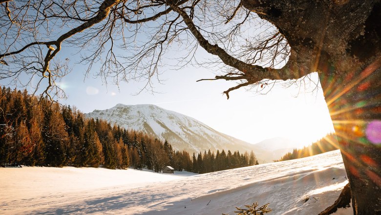 Nestelberg 17 (c)Marlene Schindlegger (1), © Sabine Wieser Nestelberg 17 (c)Marlene Schindlegger (1), © Sabine Wieser