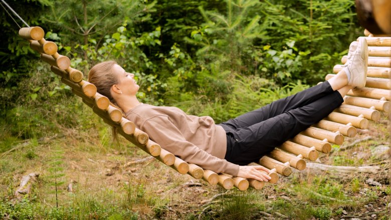 Forest kingdom, © SONNENTOR Forest kingdom, © SONNENTOR