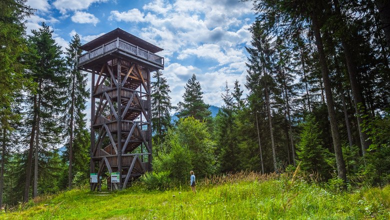 The observation tower on the workshop theme trail, © Wiener Alpen, Christian Kremsl The observation tower on the workshop theme trail, © Wiener Alpen, Christian Kremsl
