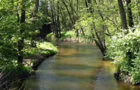 Fishing - Lainsitz - District II/1, © Stadtgemeinde Gmünd Fishing - Lainsitz - District II/1, © Stadtgemeinde Gmünd