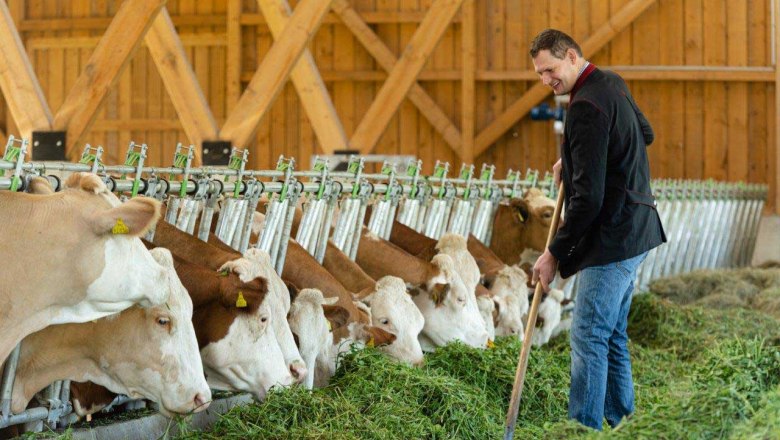 Hammerschmidt organic farm, © Netzwerk Kulinarik/Martina Siebenhandl Hammerschmidt organic farm, © Netzwerk Kulinarik/Martina Siebenhandl