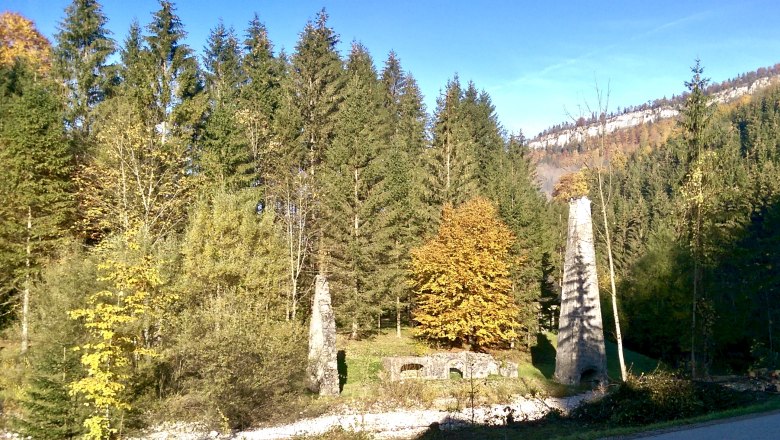 The wild nature of Göstling, © Sonja Lange The wild nature of Göstling, © Sonja Lange