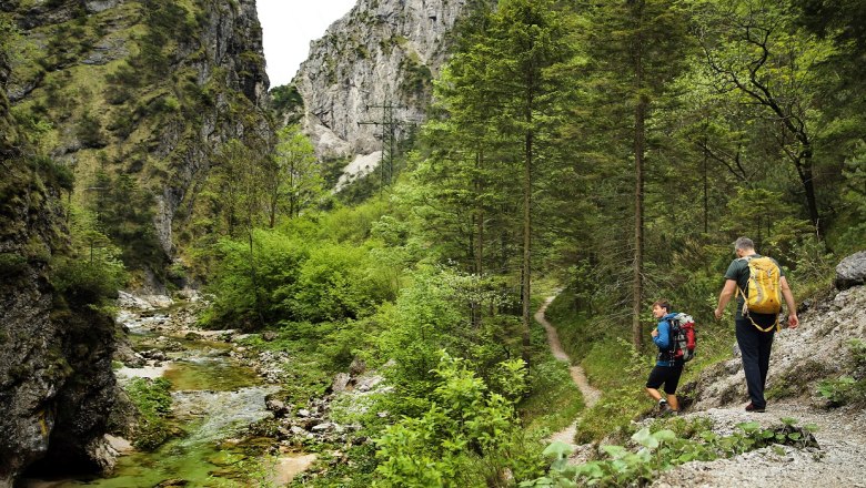 WF194963, © weinfranz.at WF194963, © weinfranz.at