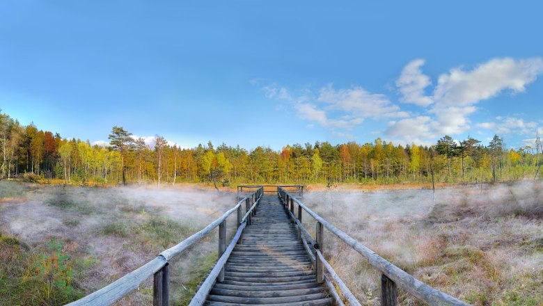 Spanking bridge in the Heidenreichstein moor, © Horst Dolak Spanking bridge in the Heidenreichstein moor, © Horst Dolak