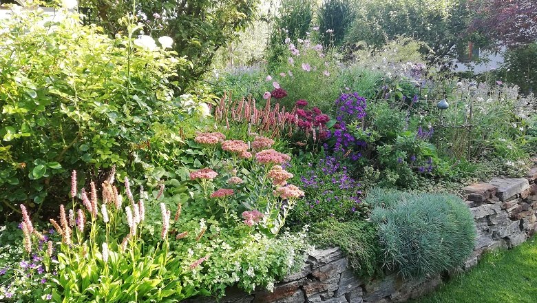 Autumnal blossoms, © Christine Hammerschick Autumnal blossoms, © Christine Hammerschick