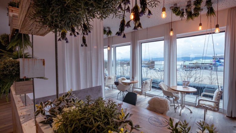 Az Alfréd, © Niederösterreich Werbung / Maximilian Pawlikowsky Egy kávézó belső tere növényekkel és nagy ablakokkal.