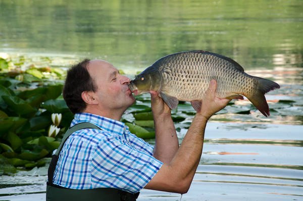 Carp from Sitzenberg Reidling, © Teichwirtschaft Sitzenberg Carp from Sitzenberg Reidling, © Teichwirtschaft Sitzenberg
