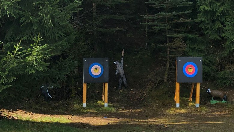 Bullet hole, © Archery Yspertal Bullet hole, © Archery Yspertal