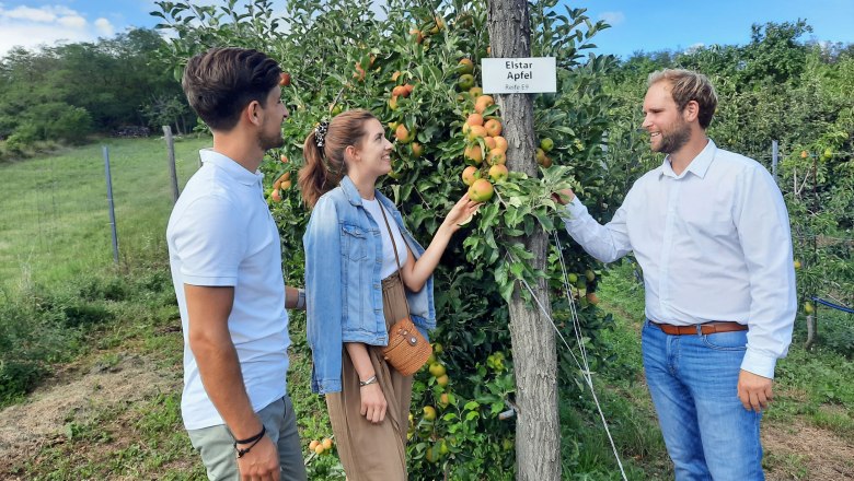 CP Obstbau Pelzmann, Berg, apple orchard, © Donau Niederösterreich, Neubauer CP Obstbau Pelzmann, Berg, apple orchard, © Donau Niederösterreich, Neubauer