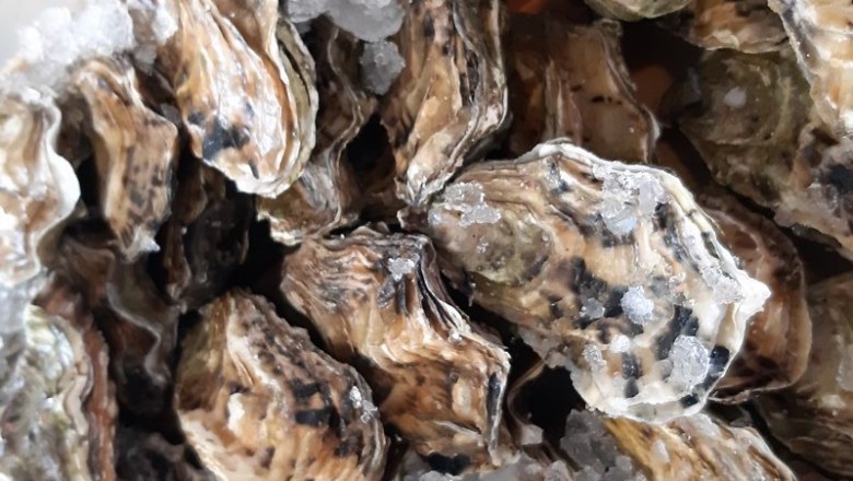 kagyló, © Reef & Beef kagyló, © Reef & Beef