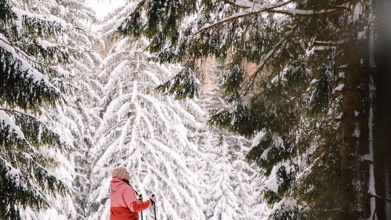 Nestelberg 17 (c)Marlene Schindlegger (31), © Sabine Wieser Nestelberg 17 (c)Marlene Schindlegger (31), © Sabine Wieser