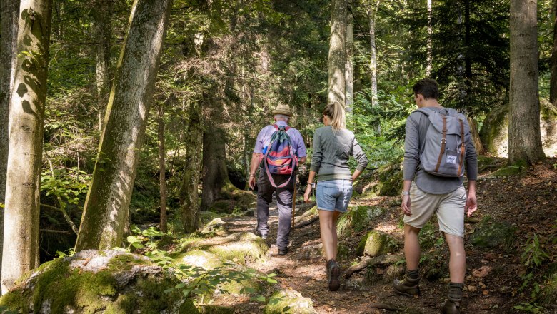 Ismerje meg az Ysperklamm-szurdok történetét egy vezetett túra során., © Waldviertel Tourismus, Studio Kerschbaum Ismerje meg az Ysperklamm-szurdok történetét egy vezetett túra során., © Waldviertel Tourismus, Studio Kerschbaum