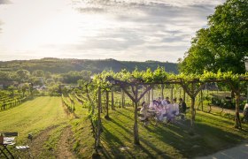 fall-0248, © Robert Herbst fall-0248, © Robert Herbst