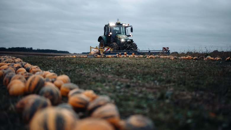 Organic pumpkin farm Metz, © Moststraße, dochbodnliacht Organic pumpkin farm Metz, © Moststraße, dochbodnliacht