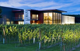 Operation, © Weingut Aumann Operation, © Weingut Aumann