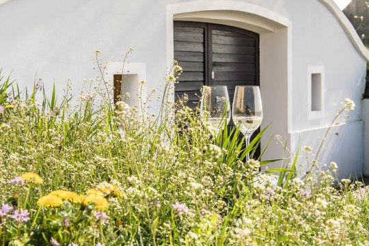 Az új borszezonra!, © Robert Herbst Az új borszezonra!, © Robert Herbst