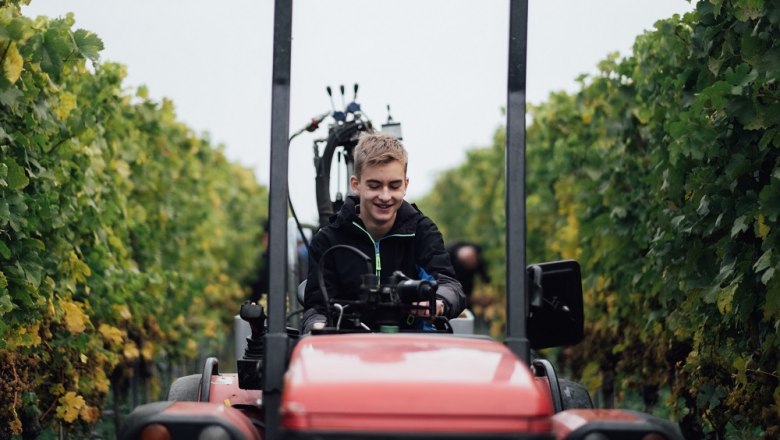 Wine culture Preiss, © Julius Hirtzberger Wine culture Preiss, © Julius Hirtzberger