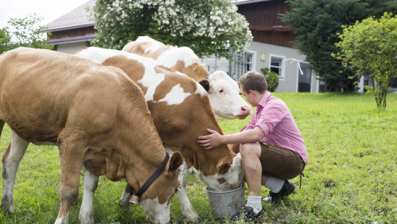 Sonnhalmberg farm cheese dairy, © Theo Kust Sonnhalmberg farm cheese dairy, © Theo Kust