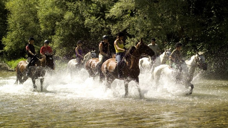 Az állatvilágot a közelből szemlélni, © Wildpark Hochriess Diestelberger Az állatvilágot a közelből szemlélni, © Wildpark Hochriess Diestelberger