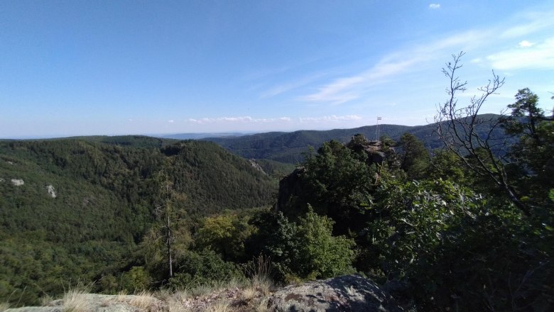 Schanzriedel view, © Donau NÖ Tourismus Schanzriedel view, © Donau NÖ Tourismus