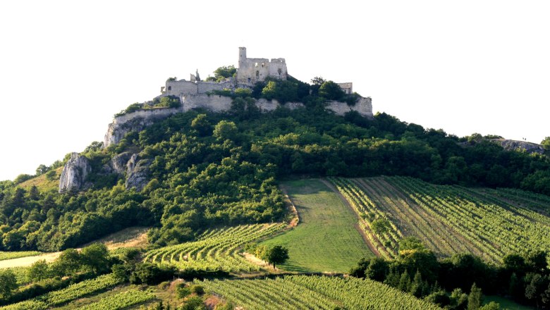 Burgruine Falkenstein(c)Weinort Falkenstein, © Weinort Falkenstein Burgruine Falkenstein(c)Weinort Falkenstein, © Weinort Falkenstein