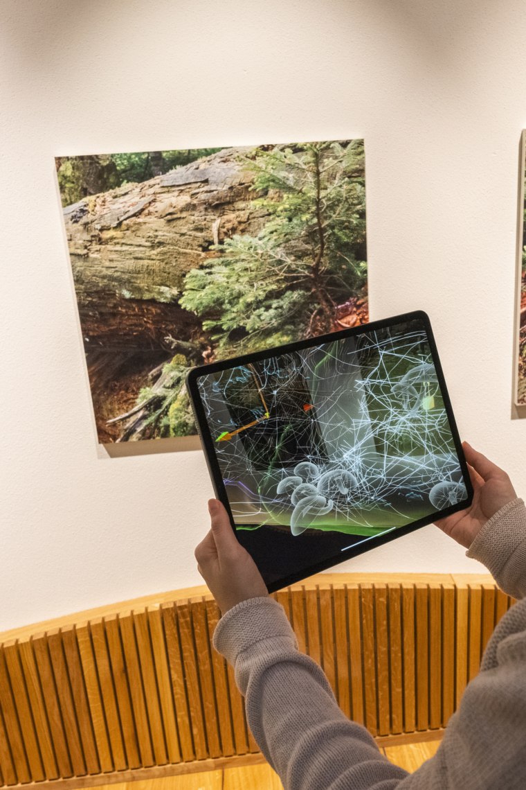 Olyan közel a Wildnisgebiet a Haus der Wildnis., © Theo Kust Olyan közel a Wildnisgebiet a Haus der Wildnis., © Theo Kust