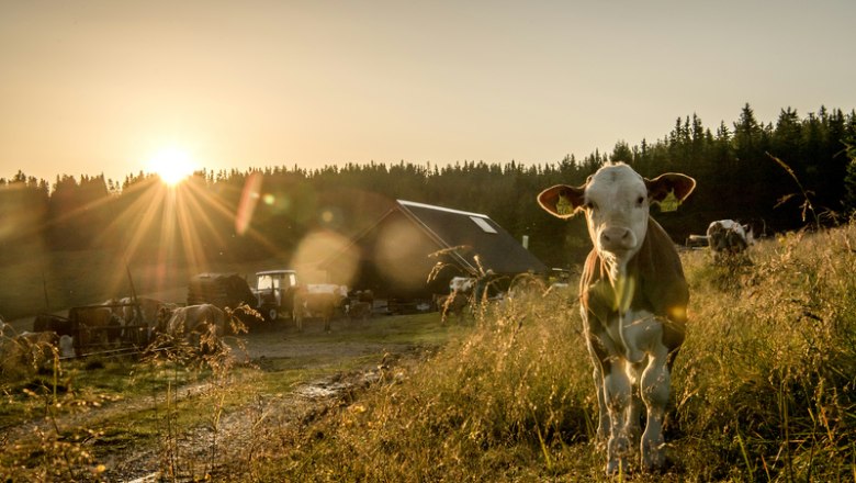 Kranichberger Schwaig, © Robert Herbst Kranichberger Schwaig, © Robert Herbst