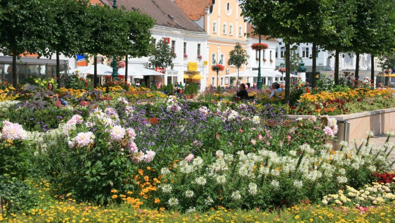 td-hauptplatz-tulln, © stadtgemeinde-tulln Blumenbeete und Gebäude am Hauptplatz in Tulln.