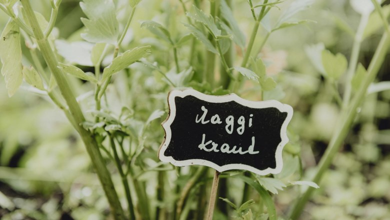 Gyógynövényszirupok sokfélesége, © Niederösterreich Werbung/Rita Newman Közelkép zöld fűszernövényekről "Maggikraut" felirattal.